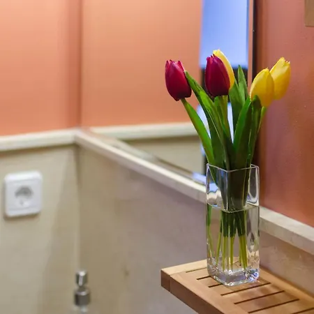 霍纳什勒斯伯爵旅游公寓酒店 * 科爾多瓦