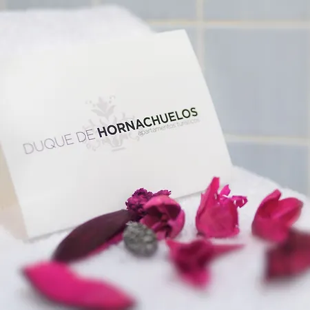 Apartamento Turísticos Duque De Hornachuelos Córdoba